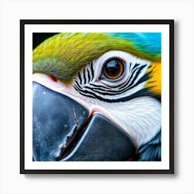 Vibrant Vigilance: A Macaw’s Gaze Art Print