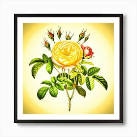 Yellow Rose Art Print