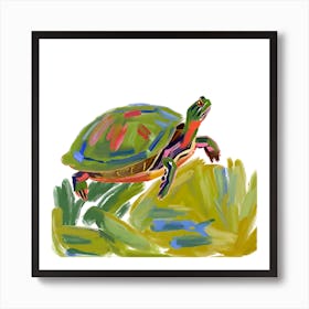 Painted Turtle 01 Art Print