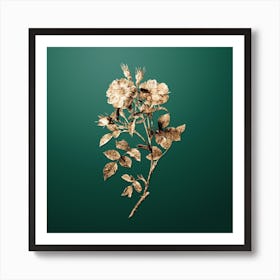 Gold Botanical Queen Elizabeth's Sweetbriar Rose on Dark Spring Green n.1005 Art Print