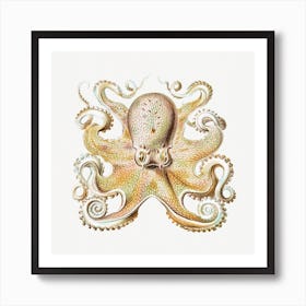 Vintage Octopus, Ernst Haeckel  Art Print