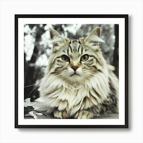 Kitty Cat Art Print