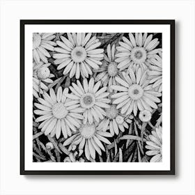 Daisies Art Print