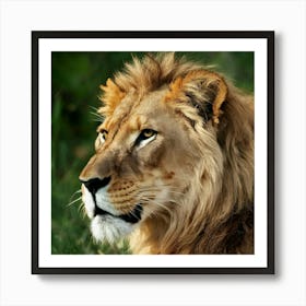 Lion Portrait Art Print