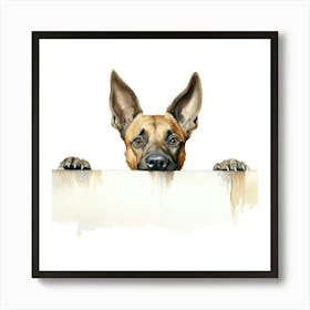 Belgian Shepherd Dog Art Print