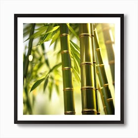 Bamboo Trees Art Print