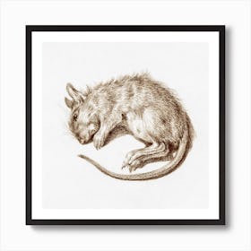 Dead Rat, Jean Bernard Art Print