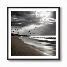 Calm Beach Black And White Art Print