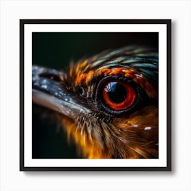 Kingfisher Bird Art Print