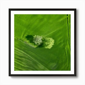 Plant Texture Green Nature Field Summer Crop Natural Environment Spring Grass Turf Folia (3) Art Print