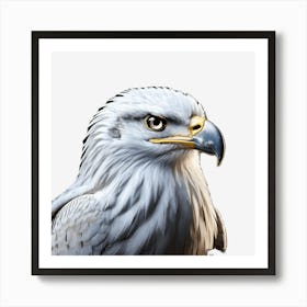 Eagle 1 Art Print