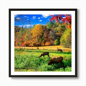 Elk Grazing In A Field Art Print