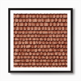 Tiled Roof 9 Art Print