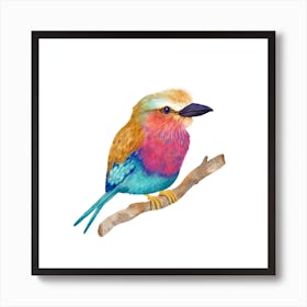 Lilac Breasted Roller Art Print