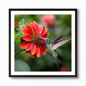 Hummingbird In A Blooming Garden 1 Art Print