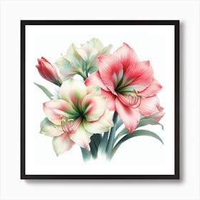 Hippeastrum 2 Art Print