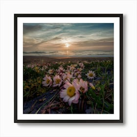 Pink Flowers On The Beach Art Print