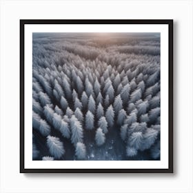 Aerial View Of Snowy Forest 7 Art Print