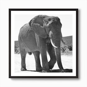 Elephant Art Print