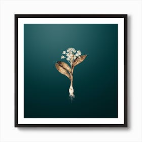 Gold Botanical Pygmy Hyacinth on Dark Teal Art Print