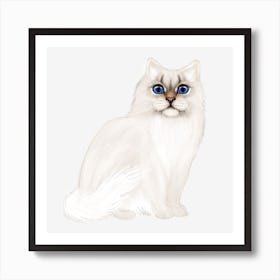 Curious cat Art Print