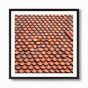 Tile Roof 3 Art Print