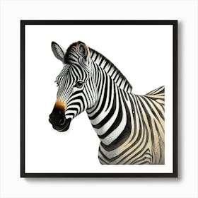 Majestic Zebra Portrait Realistic Safari Animal Art Print