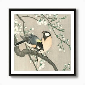 Tits On Cherry Branch (1900–1910), Ohara Koson Art Print