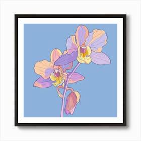 Orchids 17 Art Print