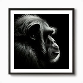 Chimpanzee Portrait Art Print