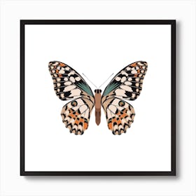 Mariposa Butterfly Square Art Print