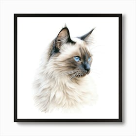Colourpoint Cat Portrait Art Print