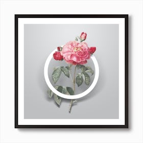 Vintage Duchess of Orleans Rose Minimalist Flower Geometric Circle on Soft Gray n.0497 Art Print