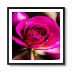 Pink Rose Art Print