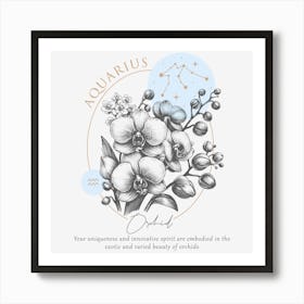 Aquarius Orchids Art Print