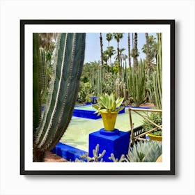 Cactus Garden Art Print