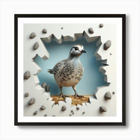 Quail Peeking Through A Hole 1 Art Print