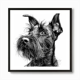 Cesky Terrier Dog Line Sketch 2 Art Print