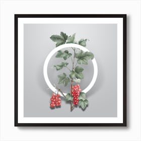 Vintage Redcurrant Plant Minimalist Botanical Geometric Circle on Soft Gray n.0148 Art Print
