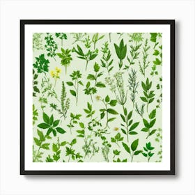 Seamless Pattern Of Herbs 2 Art Print