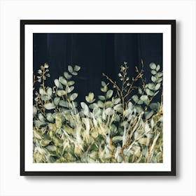 Eucalyptus 2 Art Print