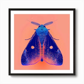 Blue Moth Art Print