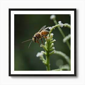 Bee On A Flower 1 Art Print