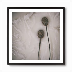 Earthy Botanicals Square Art Print