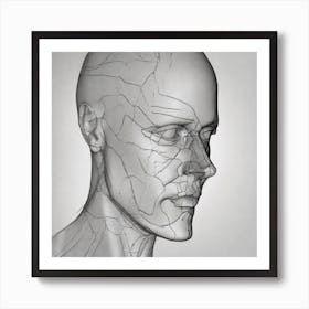 Anatomy Of The Human Face Art Print