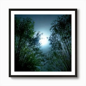 Firefly 8k, Top Quality, Live Action, Center, Dark, Night, Midnight, Starry Sky, Bamboo, Dense, Fog, (2) Art Print