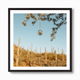 Disco Ball - Saguaro Cactus Desert - Southwest Arizona Nature Landscape Art Print