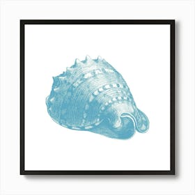 Blue Sea Shell Art Print