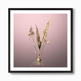 Gold Botanical Pine Pink on Rose Quartz n.2553 Art Print