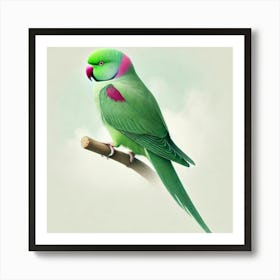 Parrot 18 Art Print